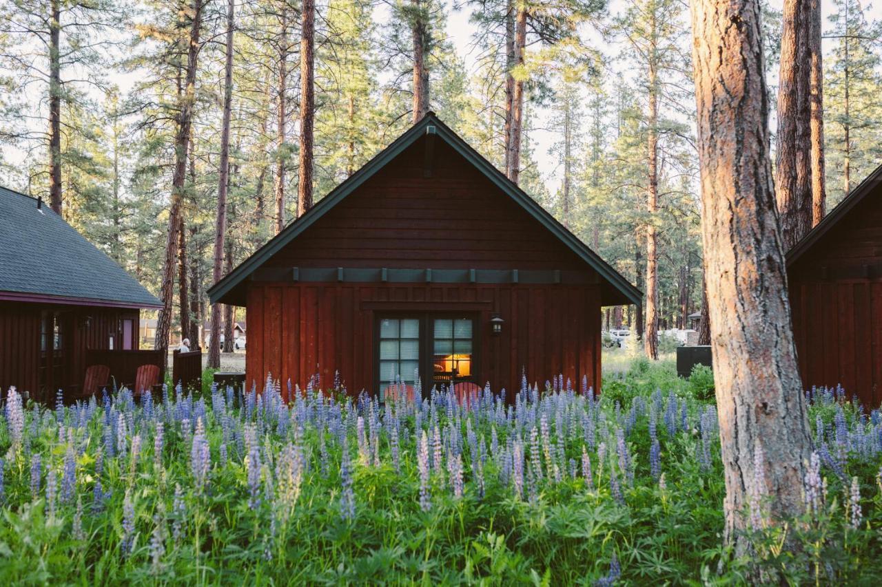 Fivepine Lodge سيسترز المظهر الخارجي الصورة
