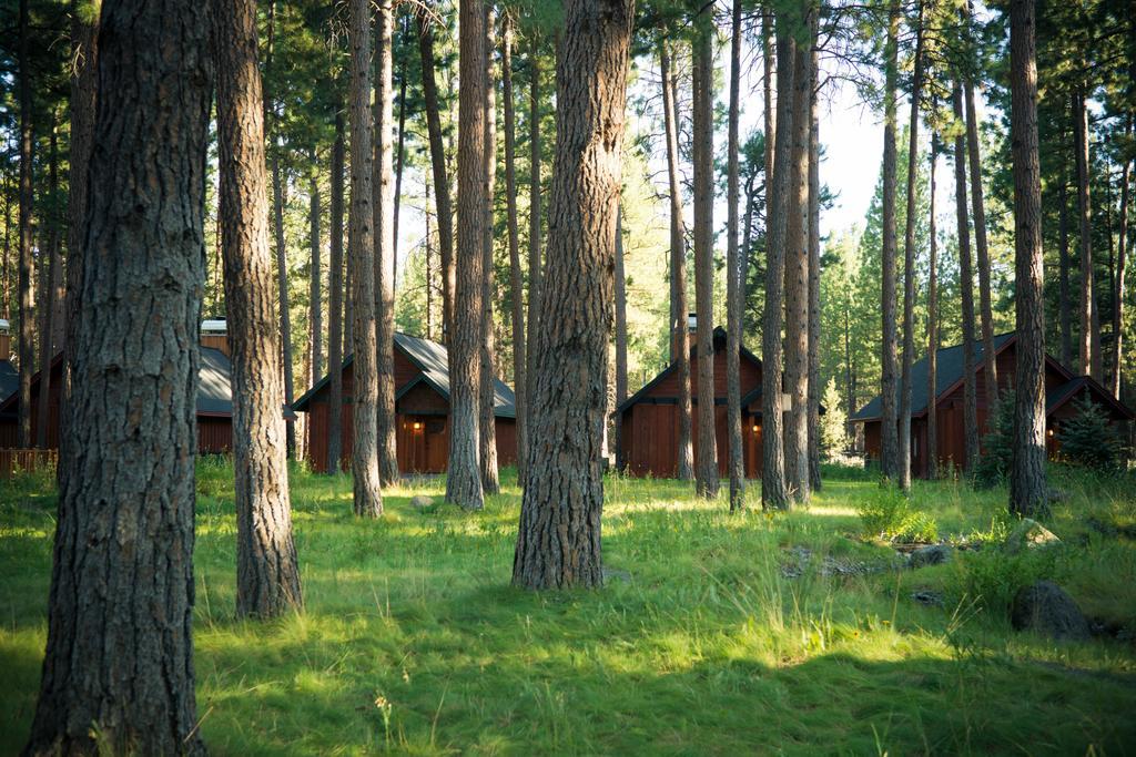 Fivepine Lodge سيسترز المظهر الخارجي الصورة