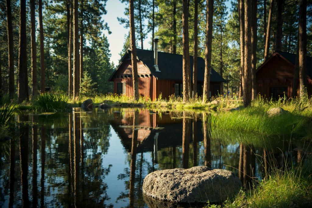 Fivepine Lodge سيسترز المظهر الخارجي الصورة